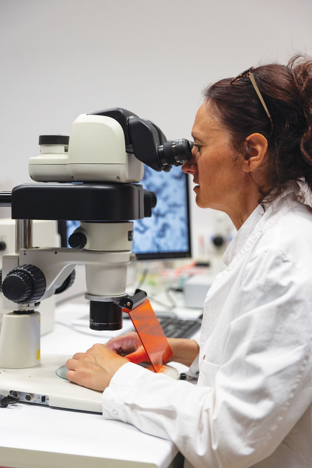 Woman in a white lab coat looking through a microscope. Woman in a white lab coat looking through a microscope.