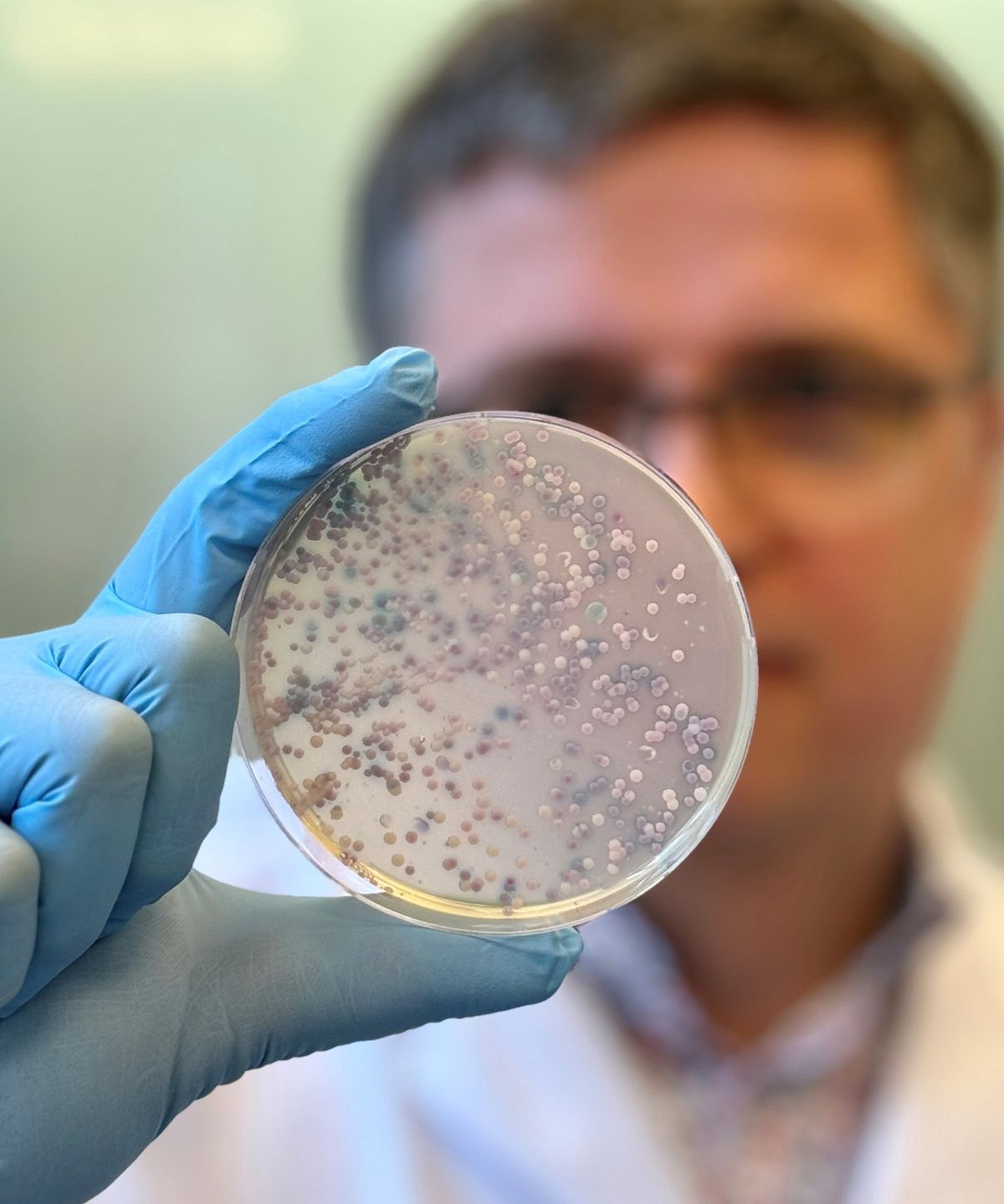 Photo of a blurred Ferry Hagen holding an agar plate with fungus up to the camera. Photo of a blurred Ferry Hagen holding an agar plate with fungus up to the camera.