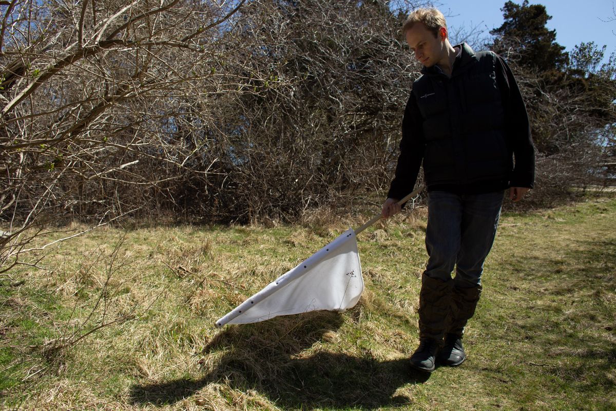 Esvelt walks through a field, dragging a piece of white fabric through the grass. Esvelt walks through a field, dragging a piece of white fabric through the grass.