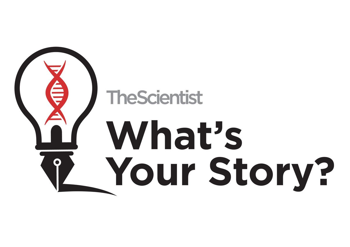 What's Your Story logo What's Your Story logo