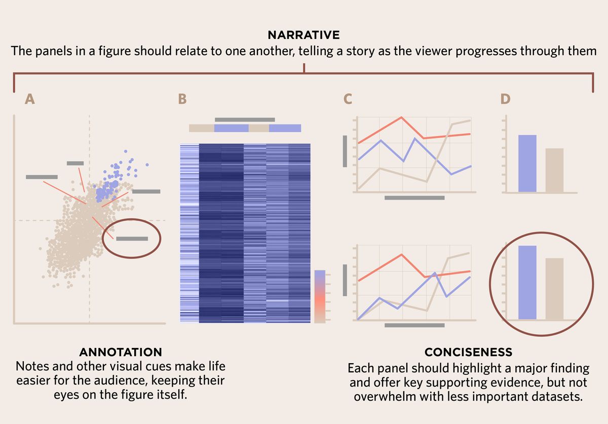 <strong >Narrative</strong><br>The panels in a figure should relate to one another, telling a story as the viewer progresses through them.<br><strong>Conciseness</strong><br>Each panel should highlight a major finding and offer key supporting evidence, but not overwhelm with less important datasets.<br><strong>Annotation</strong><br>Notes and other visual cues make life easier for the audience, keeping their eyes on the figure itself. <strong >Narrative</strong><br>The panels in a figure should relate to one another, telling a story as the viewer progresses through them.<br><strong>Conciseness</strong><br>Each panel should highlight a major finding and offer key supporting evidence, but not overwhelm with less important datasets.<br><strong>Annotation</strong><br>Notes and other visual cues make life easier for the audience, keeping their eyes on the figure itself.