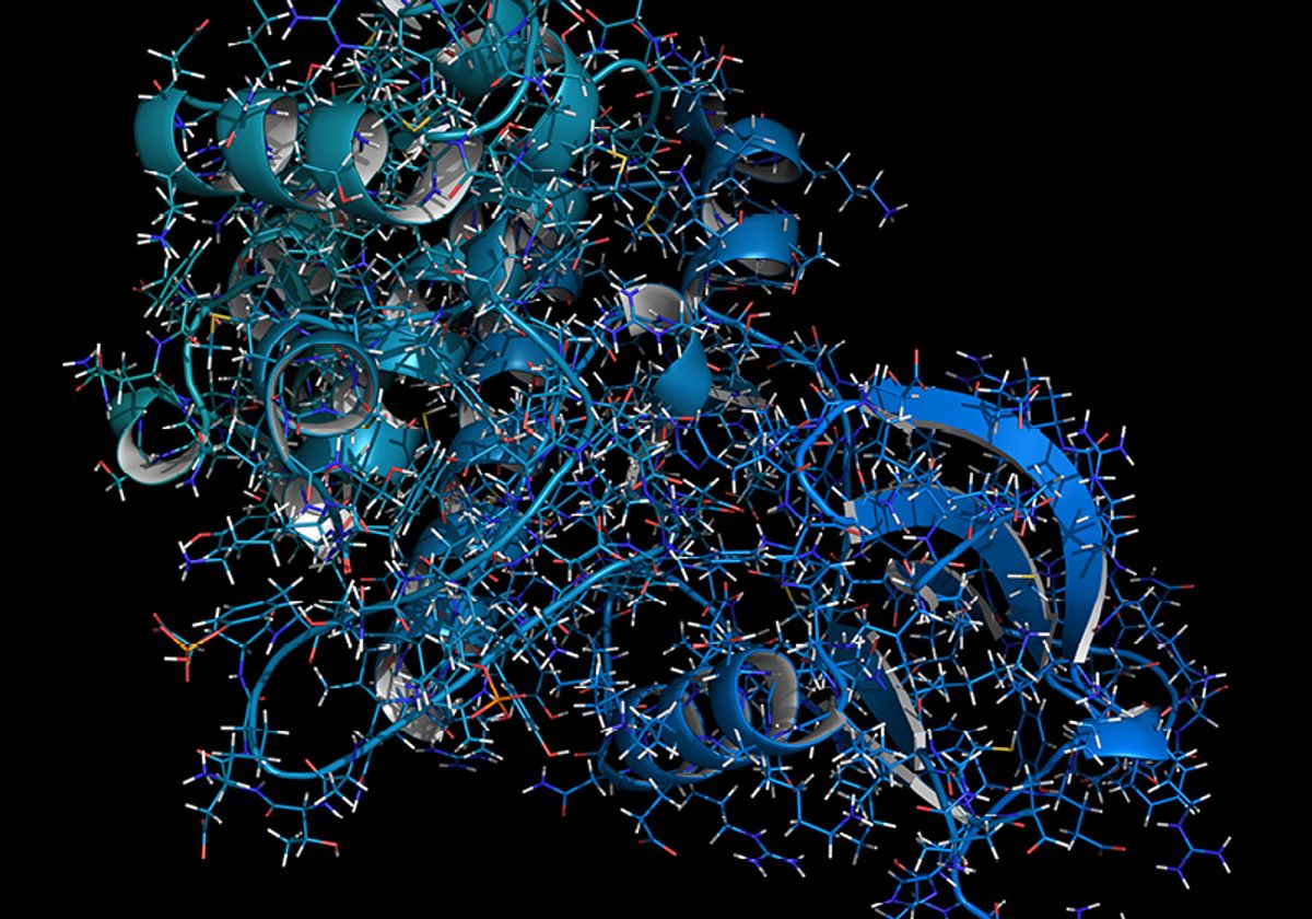 A ribbon and line illustration of Janus kinase 1. A ribbon and line illustration of Janus kinase 1.