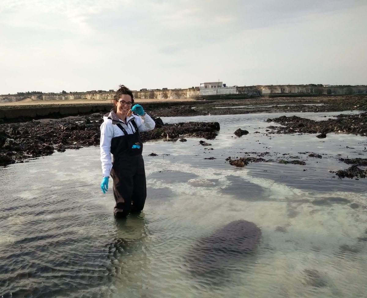 A person standing in knee-deep water, holding a starfish. A person standing in knee-deep water, holding a starfish.