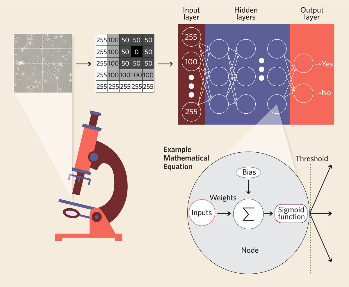 Visualization of how a neural network converts an image into numerical values and the equations used in the nodes of the hidden layers. Visualization of how a neural network converts an image into numerical values and the equations used in the nodes of the hidden layers.