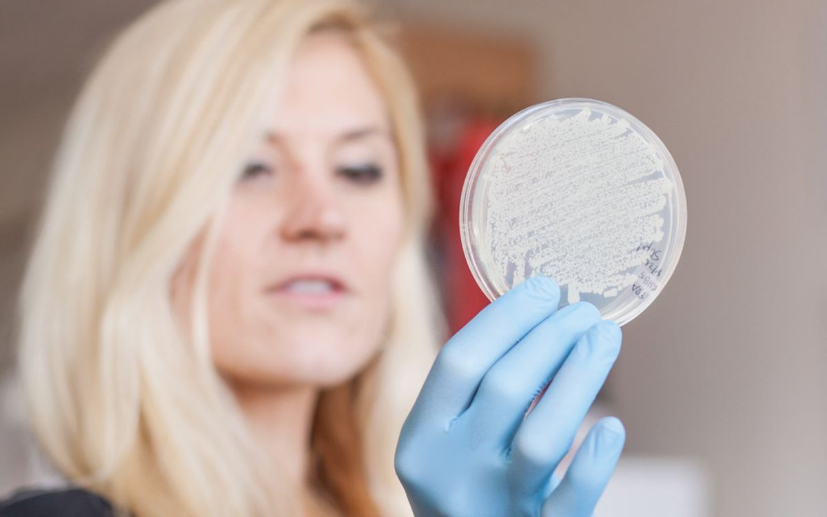 Image of microbiologist Anne Madden holding up a Petri dish with a gloved hand. Image of microbiologist Anne Madden holding up a Petri dish with a gloved hand.