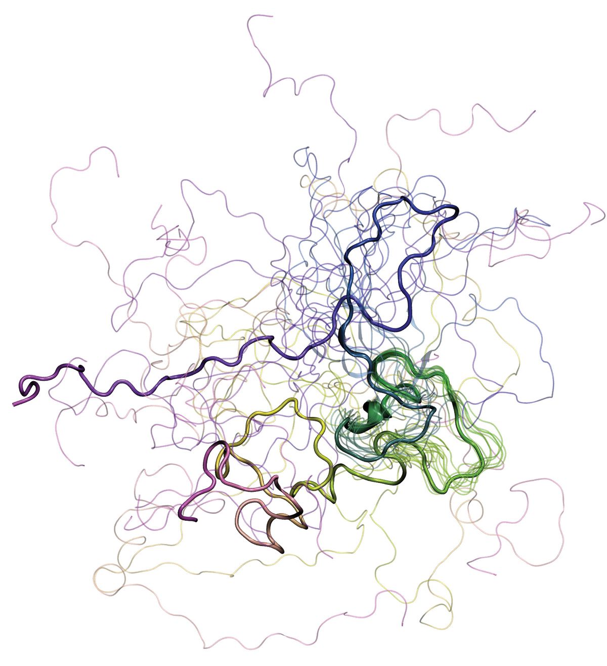 The intrinsically disordered protein Synapsin-1 The intrinsically disordered protein Synapsin-1