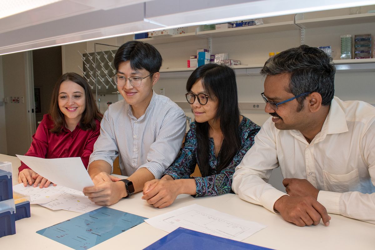 Gerta Hoxhaj, Dohun Kim, Diem Tran, and Rushendhiran Kesavan are sitting at a laboratory table and looking at a document together. Gerta Hoxhaj, Dohun Kim, Diem Tran, and Rushendhiran Kesavan are sitting at a laboratory table and looking at a document together.