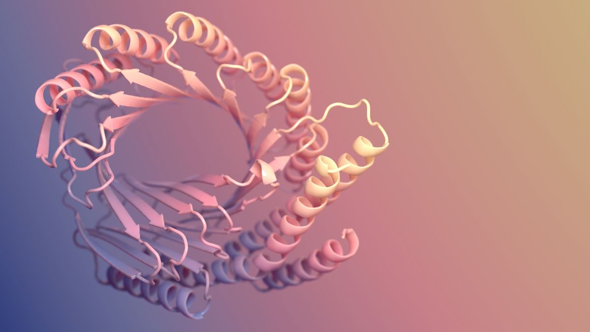 An illustration of a pink protein with helices and sheets. An illustration of a pink protein with helices and sheets.