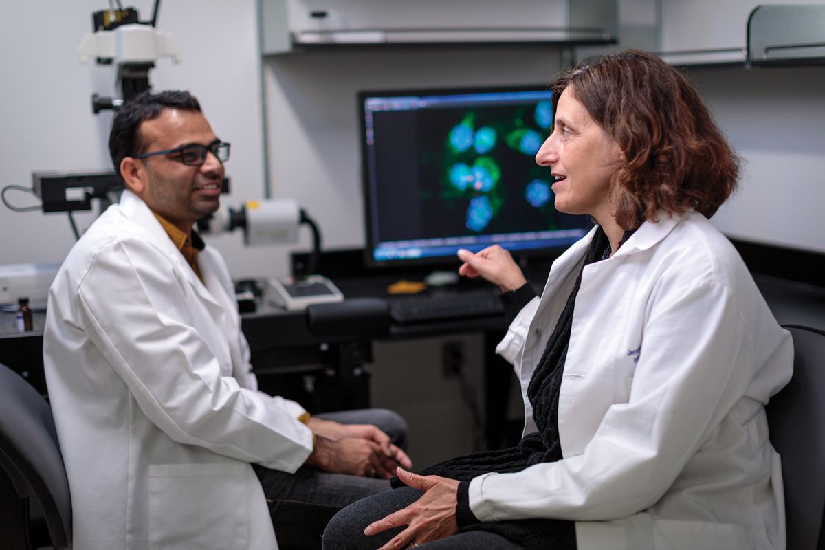 Jennifer Philips, an infectious disease researcher and physician at Washington University in St. Louis, investigates Mycobacterium tuberculosis. She and Ekansh Mittal, an instructor in the same institution, wear laboratory coats and are seated. An image of bacterial cells can be seen in a computer screen on the background. Jennifer Philips, an infectious disease researcher and physician at Washington University in St. Louis, investigates Mycobacterium tuberculosis. She and Ekansh Mittal, an instructor in the same institution, wear laboratory coats and are seated. An image of bacterial cells can be seen in a computer screen on the background.