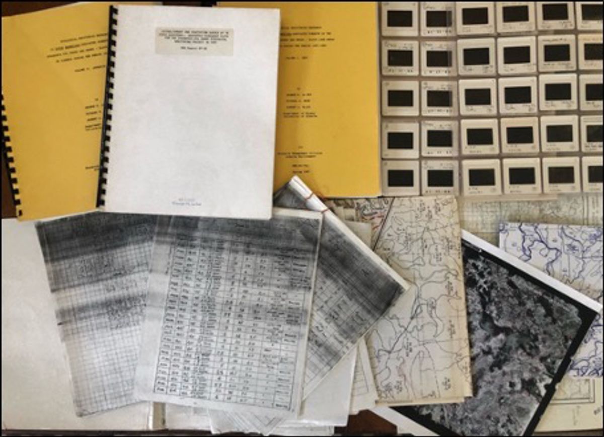 Ecology professor George H. La Roi’s data—collected over 35 years of studying North American boreal forests and stored in notebooks, CD-ROMs, and slides—are now preserved by the Living Data Project. Ecology professor George H. La Roi’s data—collected over 35 years of studying North American boreal forests and stored in notebooks, CD-ROMs, and slides—are now preserved by the Living Data Project.