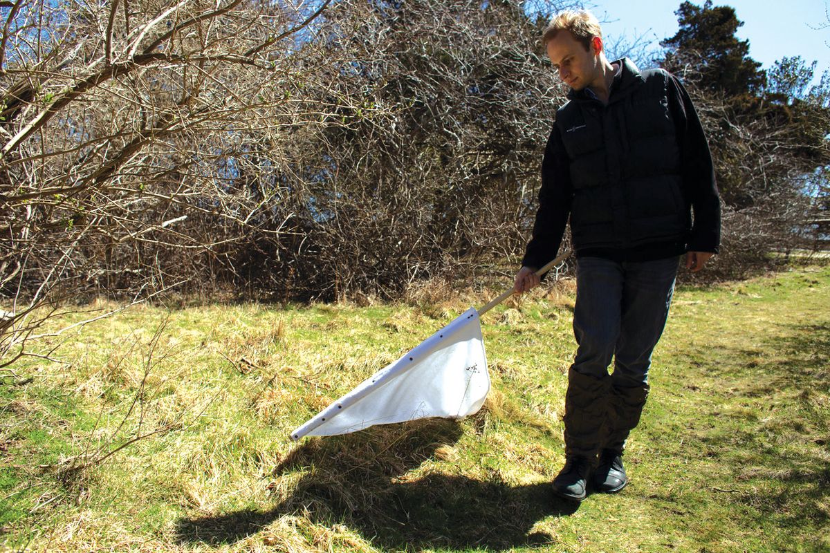 Esvelt walks through a field, dragging a piece of white fabric through the grass. Esvelt walks through a field, dragging a piece of white fabric through the grass.