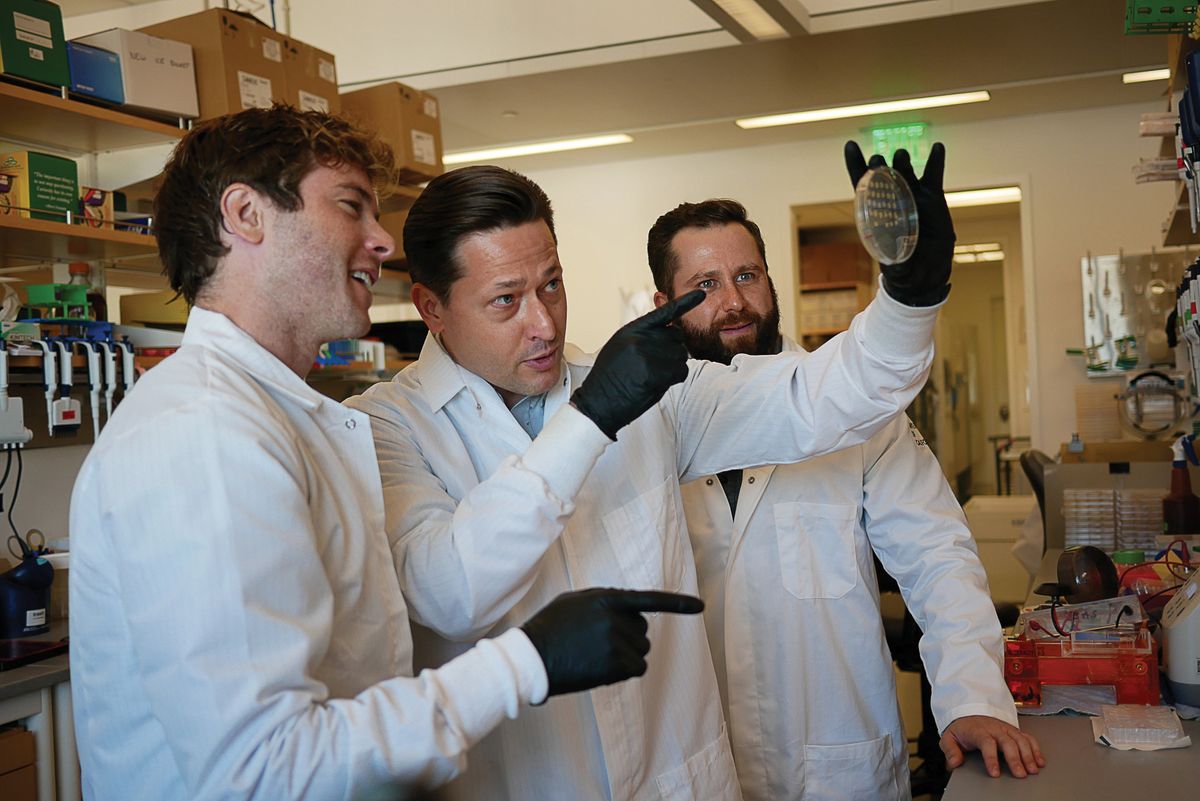 Three men are in a laboratory. They wear laboratory coats and are looking at a culture dish. Three men are in a laboratory. They wear laboratory coats and are looking at a culture dish.
