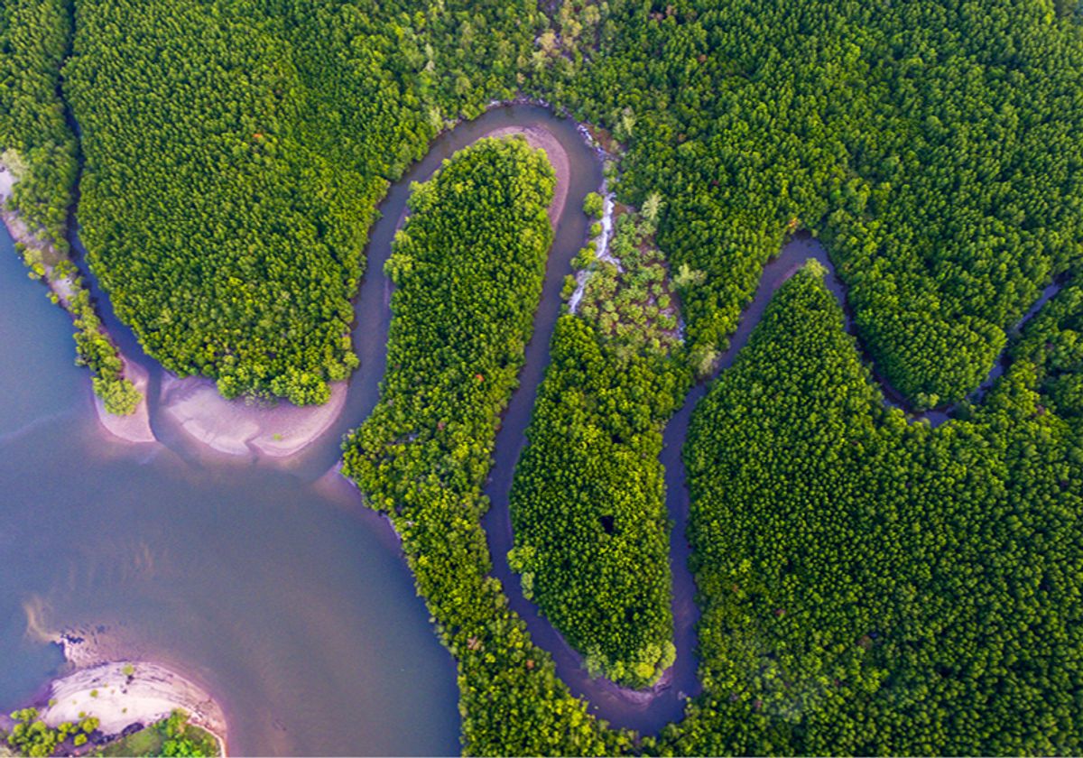 Arial view of a water canal winding through a forest and spilling into the ocean. Arial view of a water canal winding through a forest and spilling into the ocean.