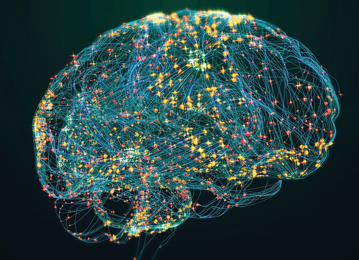 A stylized futuristic outline of a human brain. A stylized futuristic outline of a human brain.