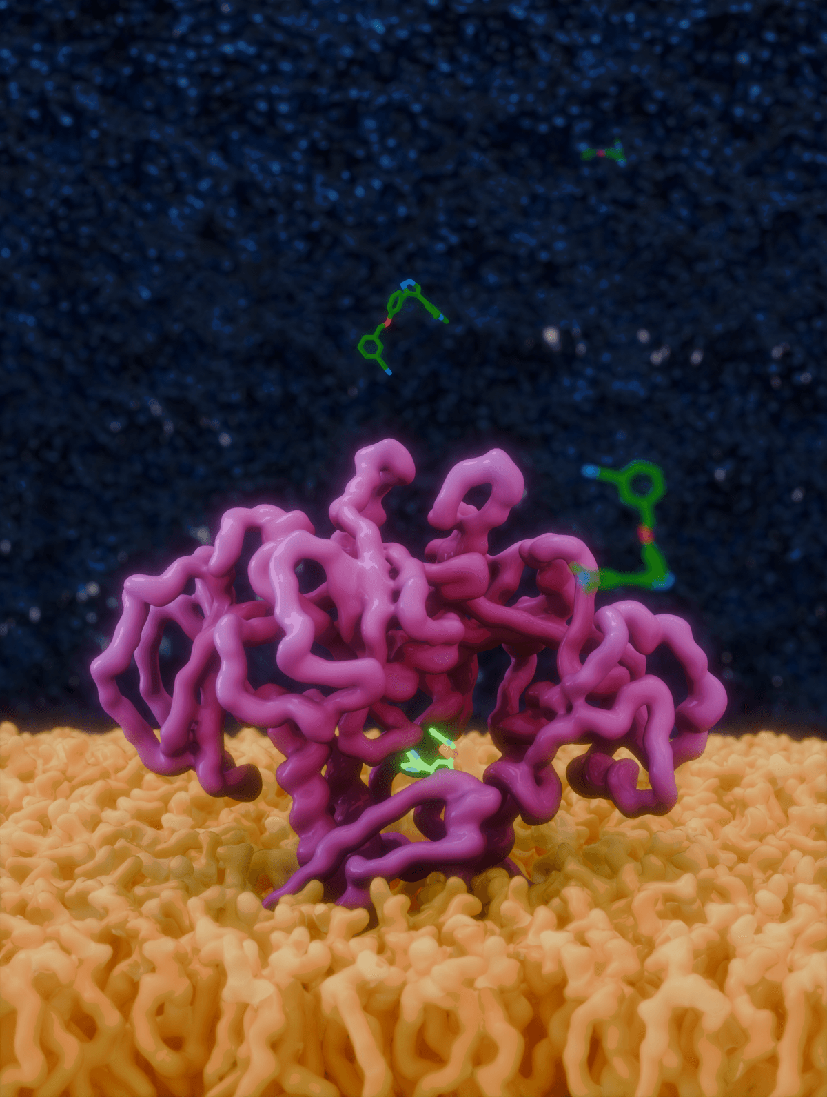 Fluorescent green molecules bind to a pink structure that sits on top of a yellow layer, with green molecules hovering nearby. Fluorescent green molecules bind to a pink structure that sits on top of a yellow layer, with green molecules hovering nearby.